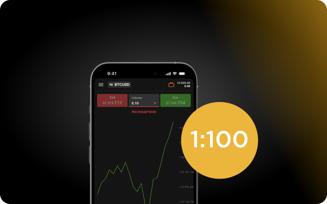 Margin leverage 1:100